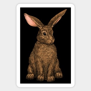 Rabbit 3 Magnet